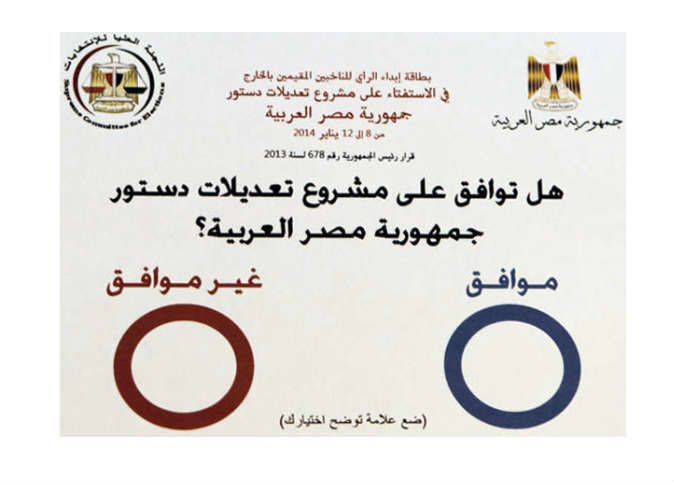 Large numbers of Egyptians abroad participate in constitutional referendum