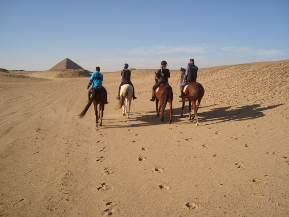 Exploring Sakkara on horseback