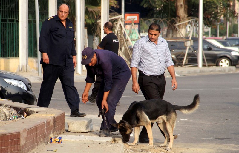 2 killed while planting explosive device in Sharqiya - state agency