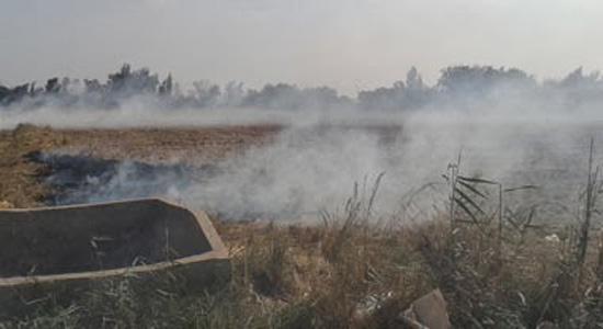 21 acres owned by Copts burned in Galaa village
