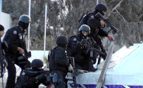 Two suspected Islamist militants killed near Tunis: Ministry