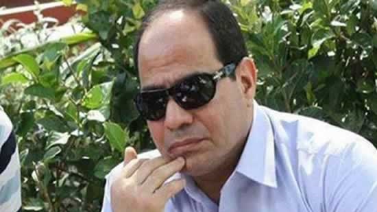 Pro-Sisi campaigners raise petition to extend president's term in office
