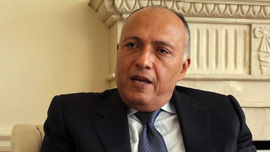 Egypt's FM: Turkey puts 'unacceptable' conditions on rapprochement