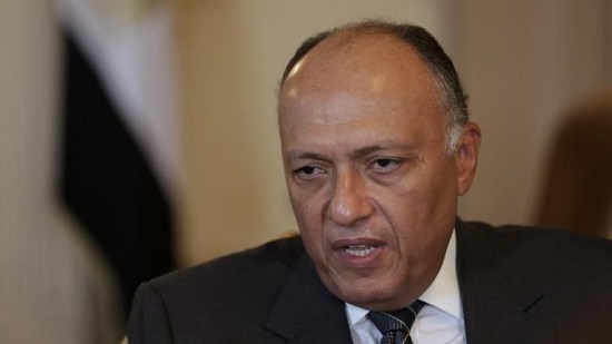 Shoukry discusses regional developments with French counterpart