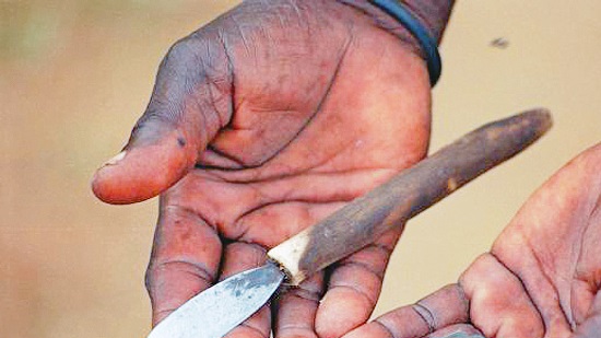 Cabinet approves draft law to harshen FGM penalty
