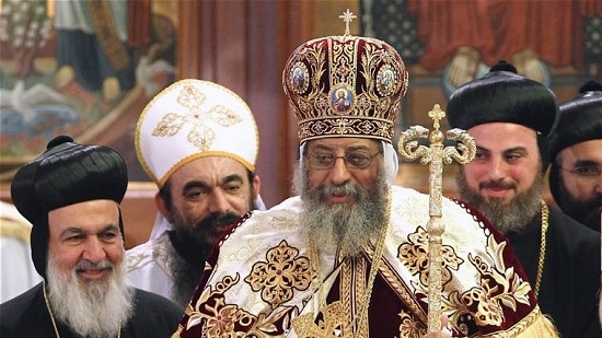 Church's support of Sisi's efforts abroad 'is not political', Pope Tawadros
