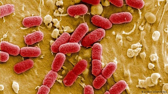 Antibiotics can boost bacterial growth