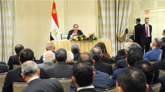 Abba David: al-Sisi asked Egyptian community in America to support Egypt