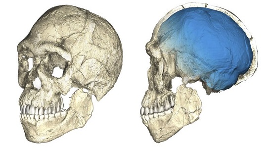 This is us: Earliest fossils of our species found in Morocco