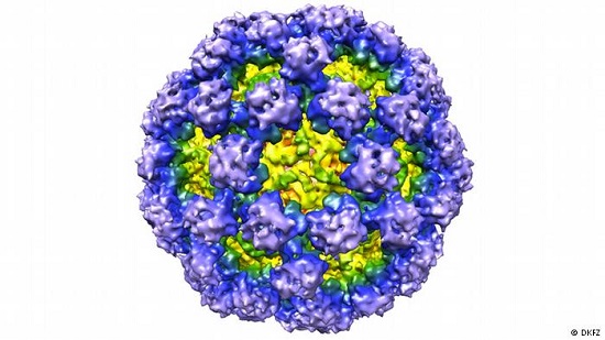 Noroviruses - highly contagious really disgusting