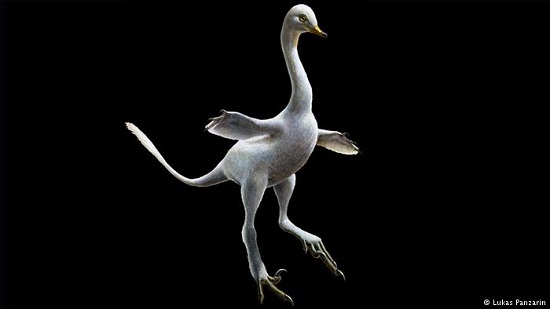 If it has a bill like a duck and walks like an ostrich — its a dinosaur