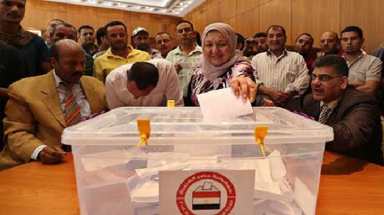All Egyptian expats can vote in March presidential elections regardless of legal status in host countries: Minister