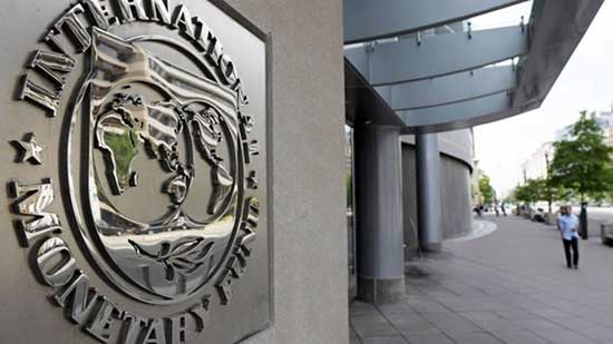 IMF Mission Chief for Egypt praises economic reform steps