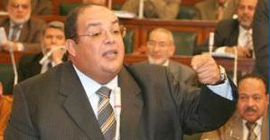 3 opposition parties to join Egypt's vote 