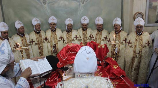 9 new priests ordained in Minya
