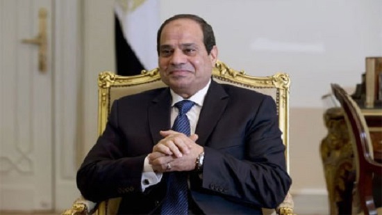 Sisi calls on Egyptians to endure challenges on back of fresh subsidy cuts