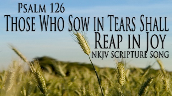 Those who sow with tears