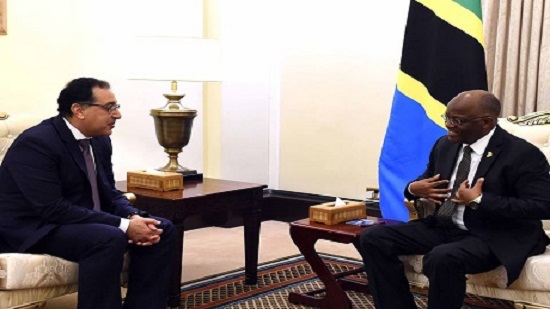 Egypts building Tanzanian dam affirms commitment to supporting development in Africa: PM