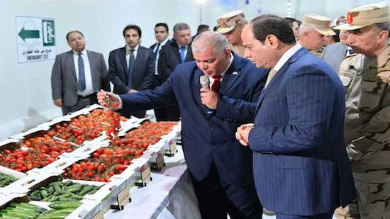 Egypt seeks to be amongst the world’s best in agriculture: Sisi