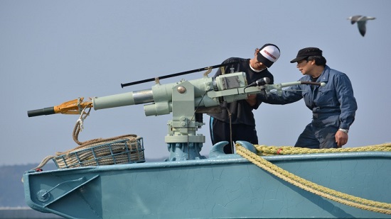 Japan to resume commercial whaling after IWC withdrawal