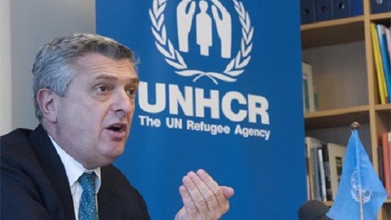 Egypt keen on providing intl protection for refugees, Deputy FM tells UNHCR commissioner
