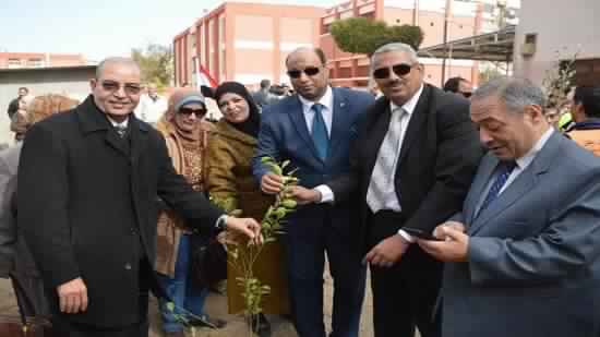 Coptic Church and Awqaf Ministry participate in 1000 tree planting initiative