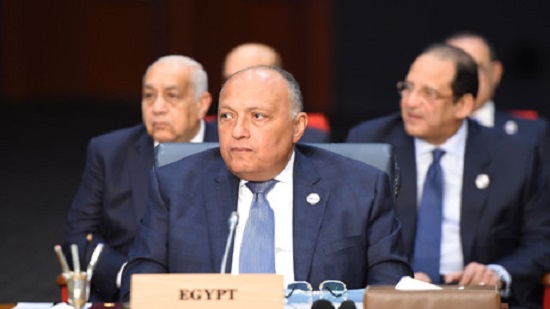 Egypts FM Shoukry calls for boosting international cooperation on human rights