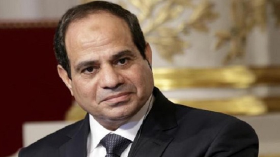 Egypt seeks to enhance economic ties with Japan: Sisi tells Japanese investors