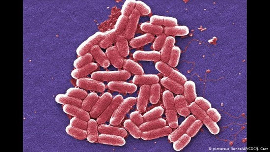 Drug-filled rivers aiding resistance to antibiotics