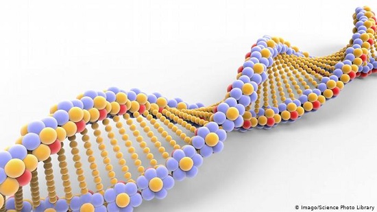 CRISPR-Cas9 babies likely to die earlier, Berkeley study says