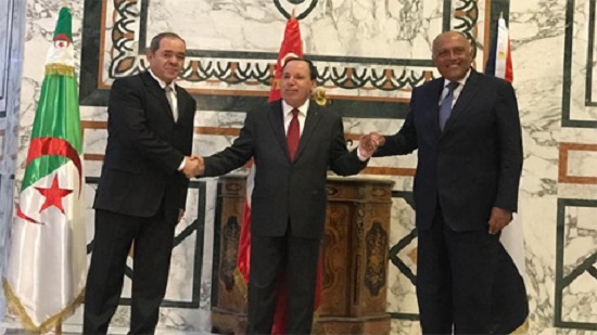 Egypt, Tunisia, Algeria call for unconditional ceasefire in Libya: Statement