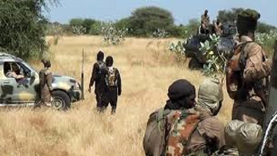 Islamist insurgents kill at least 20 civilians in northeast Nigerian village: Security agent, source