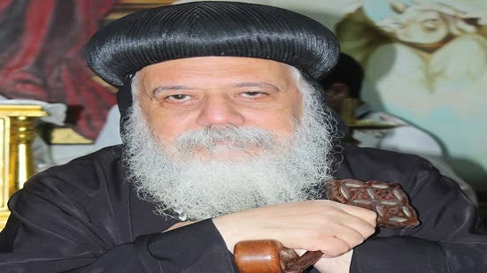 Pope Tawadros arrives in France and starts a pastoral visit