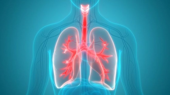 Fat found in overweight peoples lungs
