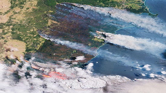 Bushfires Australian satellite would be tuned to eucalypt vegetation
