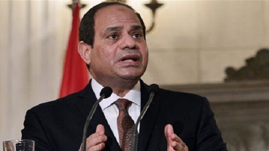 Egypt to adopt additional precautionary measures over coronavirus: Sisi