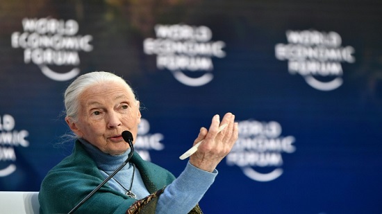 Jane Goodall says disrespect for animals caused pandemic

