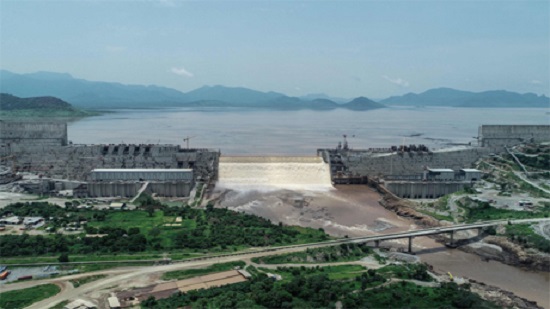 DR Congo expresses support for Cairos position on GERD: Egyptian presidency