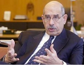 ElBaradei comes top in Egypt army Facebook survey 
