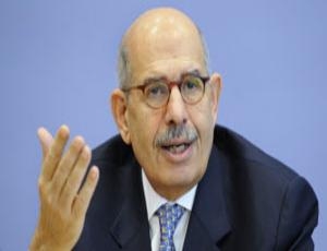 ElBaradei collects signatures to join the Constitution