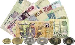 Fears over Egypt’s devaluing currency leads to dollar rush ahead of final results on charter