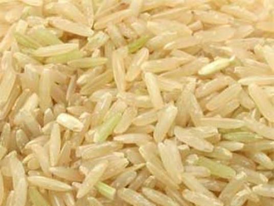 Irrigation Ministry: Prevent rice cultivation in deserts