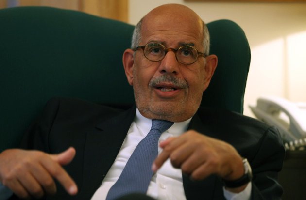 ElBaradei: Egypt leader will need opposition help