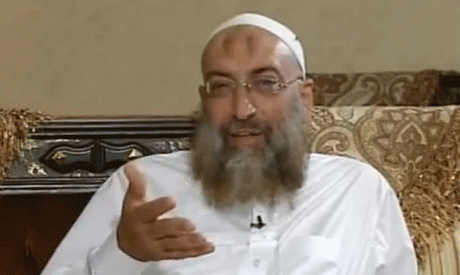 Salafist, Brotherhood differences 'undeniable': Egypt's El-Borhami