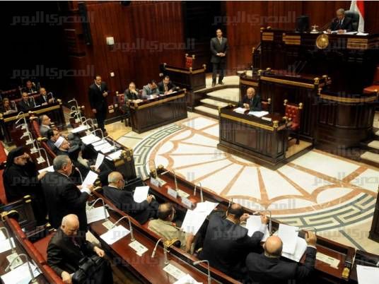 Nour Party opposes raising international conventions to 'level of constitutions'