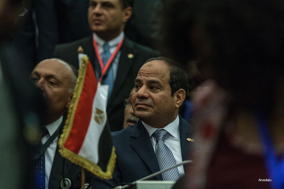 Sisi says Qatar, Turkey, US and the Muslim Brotherhood are funding media projects to undermine Egypt's stability.