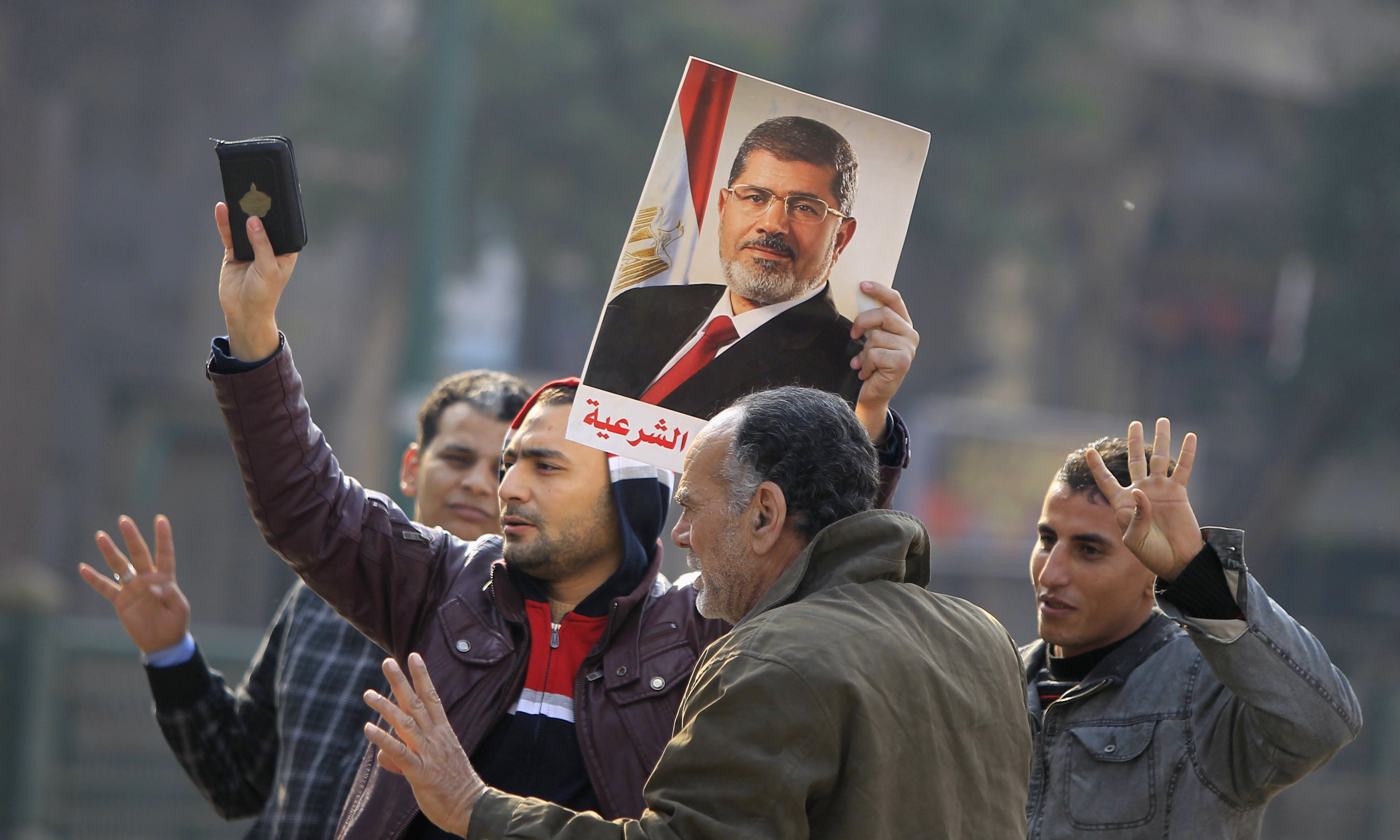 516 Brotherhood affiliates arrested on uprising anniversary - Interior Minister