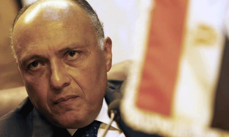 Egypt backs peace treaty in Libya: Foreign ministry