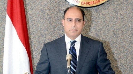 FM spokesman warns against efforts to undermine Egypt-Ethiopia relations
