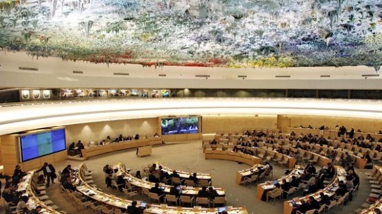 Egypt wins seat on UN Human Rights Council with 173 votes
